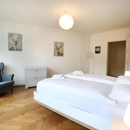 City Center At University Apartment Zurich